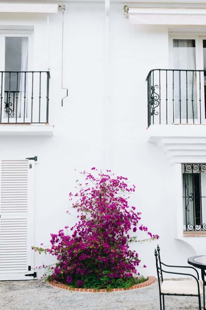 MyVilla4 - Prachtig boetiekhotel in Marbella: My Villa Alexandra | Explorista's Top Hotels