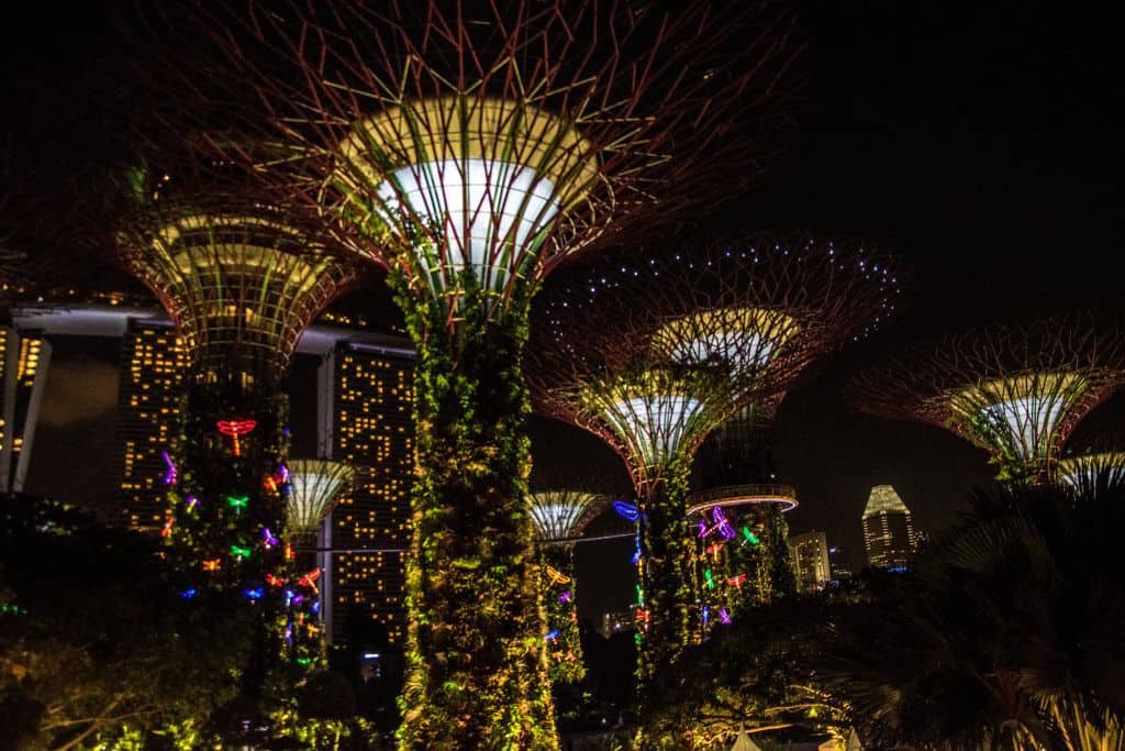 GardensbytheBaySingapore13 - Gardens by the Bay in Singapore: één van de mooiste plekjes in de stad