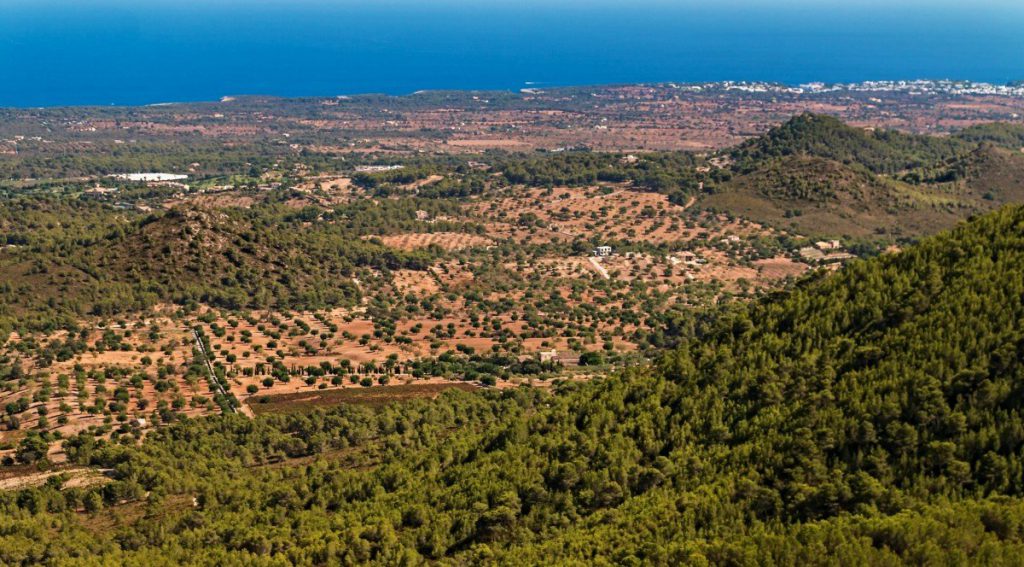 oost mallorca pxhere 1024x567 - Waar te verblijven op Mallorca: De mooiste plekken (+ hotel tips voor ieder budget)
