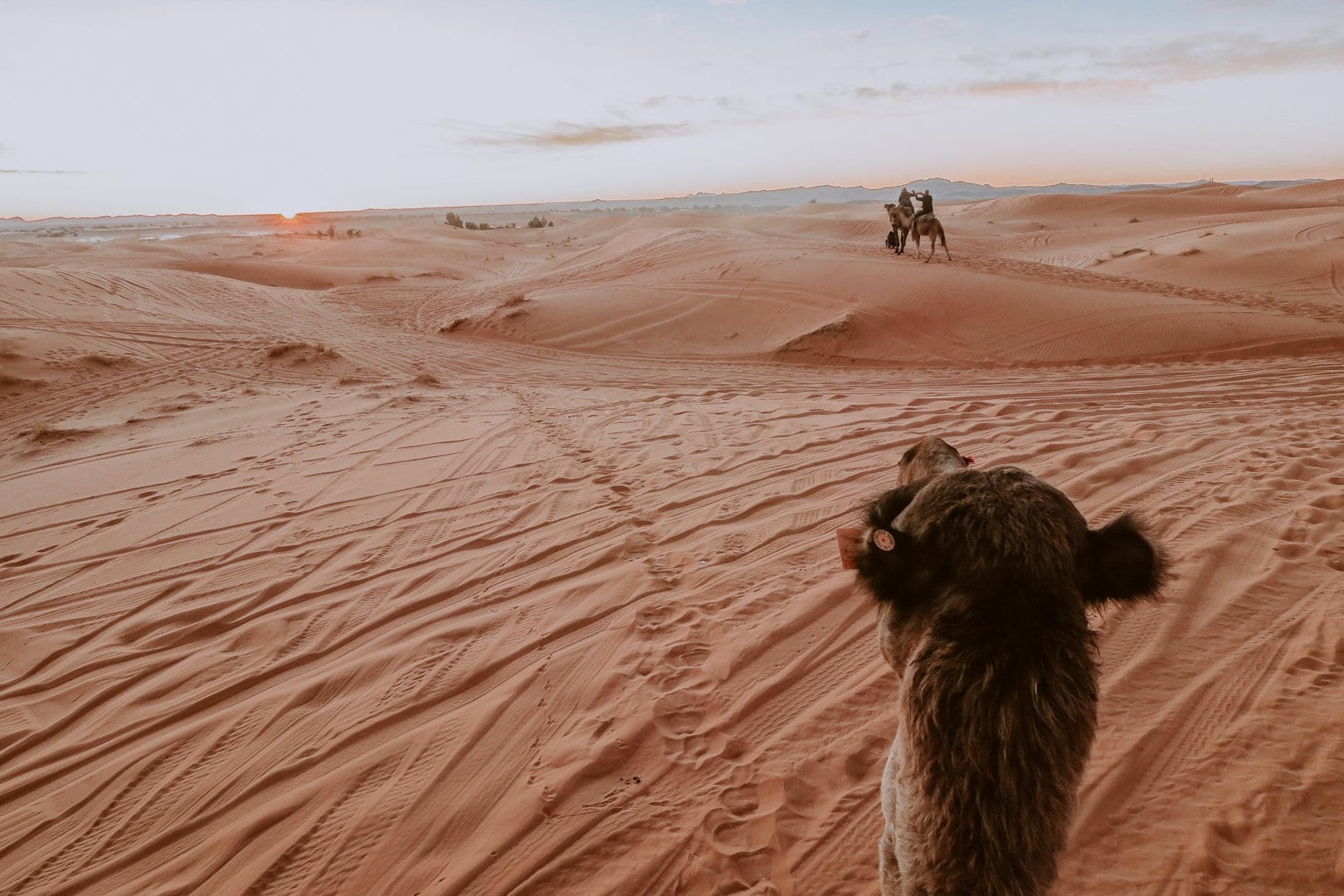 Sahara19 - Sahara bezoeken vanuit Marrakech: 3-daagse route (+ hotel & tour tips!)