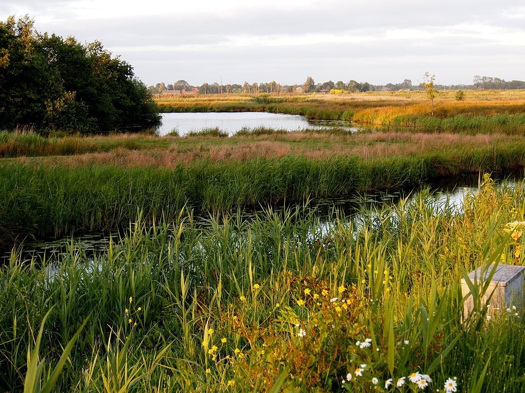 De 21 mooiste plekken in Friesland: van natuur tot dorpen & steden! de alde feanen wikimedia - De 21 mooiste plekken in Friesland: van natuur tot dorpen & steden!