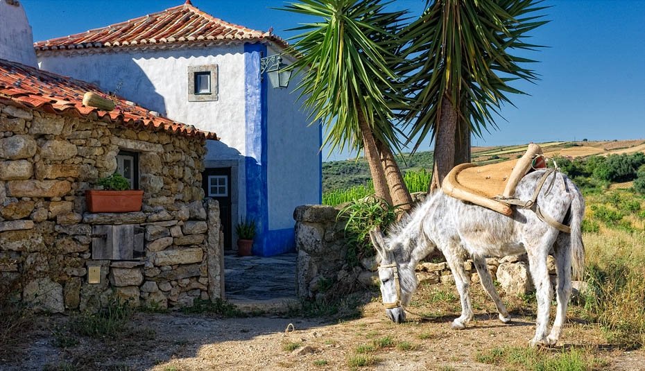 aldeia da mata pequena - 33x bijzonder overnachten in Portugal: mooiste boetiekhotels & vakantiehuizen